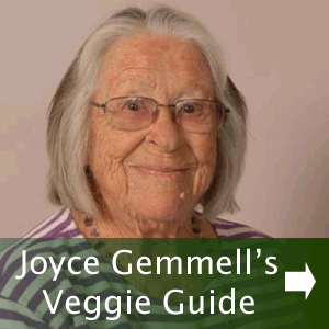 Vegetable Planting Guide