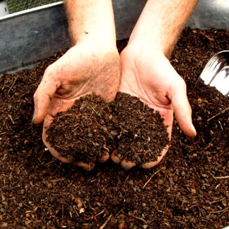 Composting 101