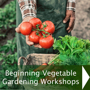 Beginning Vegetable Gardening Workshops