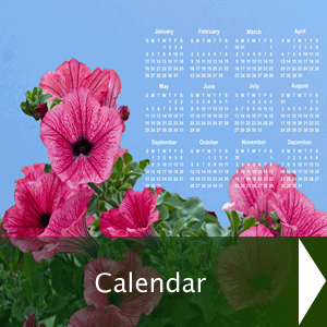 Calendar