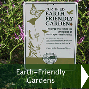 Earth-Friendly Gardens