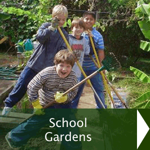School Gardens
