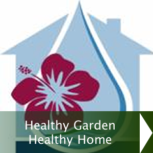 Healthy Garden, Healthy Home