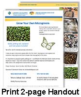 Print 2-page handout