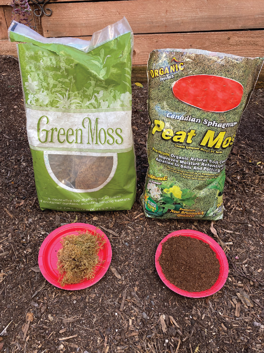 Image shows examples of sphagnum moss and peat, both harvested from bogs as sold in stores.