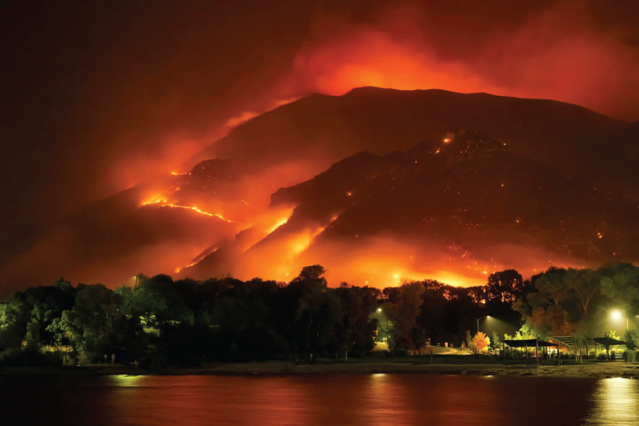 Image shows an out of control wild fire.