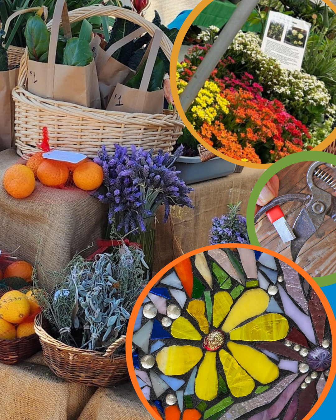Faremers Market table full of freshly grown vegetables and flowers. Lavender, oranges, basil, tomatoes, etc.