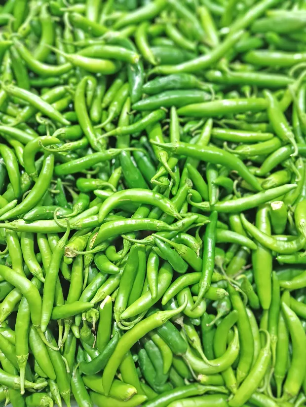 Photo of a pile of Serrano peppers