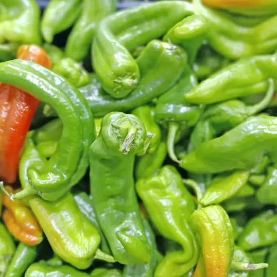 Photo of Shishito Peppers.