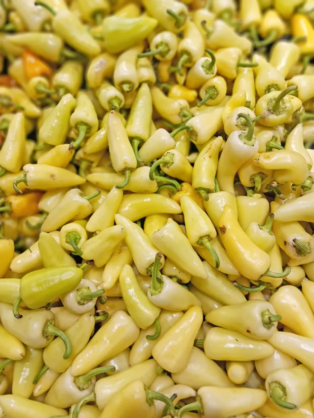 Photo of Yellow Wax peppers